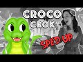 Kidi fun  croco crok  sped up version clip officiel