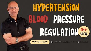 Hypertension | Blood Pressure Regulation | Hypotension