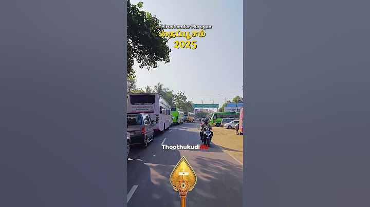 Thaipoosam 2025 | Thiruchendur Murugan Temple Crowd & Festival தைப்பூசம் 2025