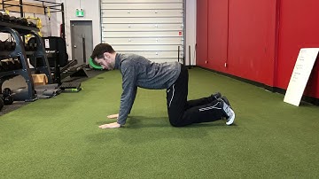 Quadruped Core Stability