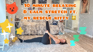 10 Minute Relaxing Stretch With Soft Piano Music & My Orange Rescue Kitty Cat AKA  *Honeybun* 