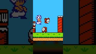 Floating Enemy Trick in Super Mario 2! 😆