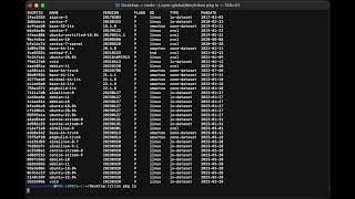 Triton - Provisioning and using the Triton CLI screenshot 4