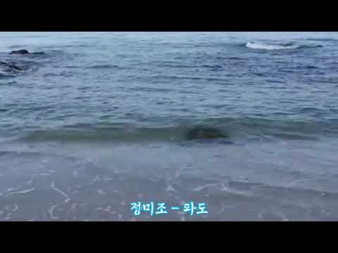 정미조 - 파도
