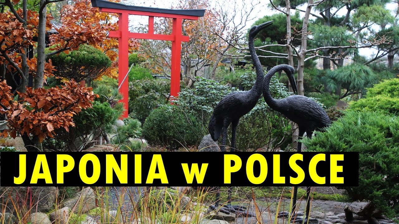 OGRÓD JAPOŃSKI - pasja i styl życia. Dbałość o szczegóły, pracowitość i wielka konsekwencja