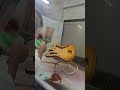 Sit back and watch as Jay Nelson sprays a Jazzmaster in Tobacco Burst