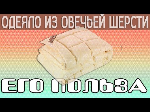 Одеяла из овечьей шерсти — плюсы и минусы, особенности и польза