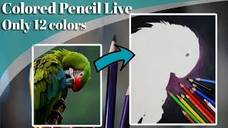 ⁣Only 12 colored pencils LIVE -& art chat - Lachri