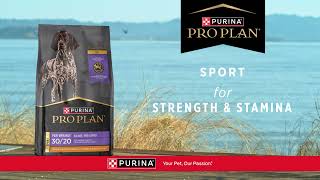 Fuel Your Dog&#39;s Active Lifestyle with Food Made for Strength &amp; Stamina