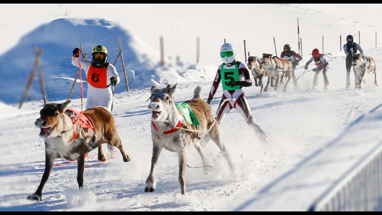 voyage laponie maison du pere noel