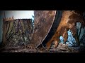 WRECKING tree stumps with a 330 excavator