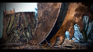WRECKING tree stumps with a 330 excavator