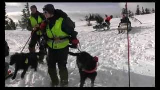 Høgskolen i Telemark , Vinterfjell, søk og redning skred.