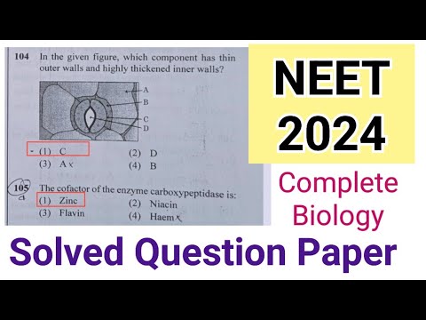 NEET 2024 Answer key - Complete Solved Question Paper 
