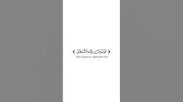 كروما شاشة بيضاء قرآن كريم 🌿تلاوة من سورة طه 🌿القارئ هيثم الدخين 🌿