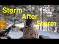 Winter Storms Vs Rabbit Snaring (The Battle Rages)