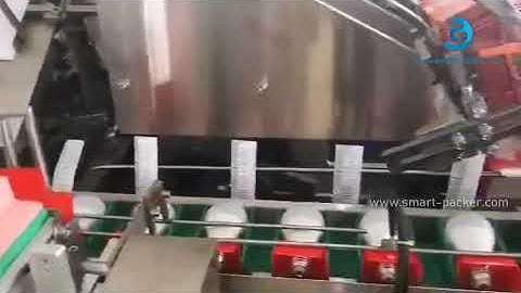 Manual feeding light LED bulb feeding horizontal type cartoning machine encasing line with leaflet i