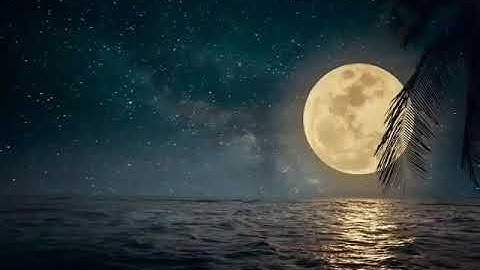 الشيخ/ ربيع الجراري سورة ( النحل )