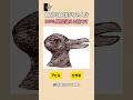 【自分に自信が無い人は99%見間違える絵】#心理テスト #性格診断 #心理学 #当たる #shorts #ショート #viral