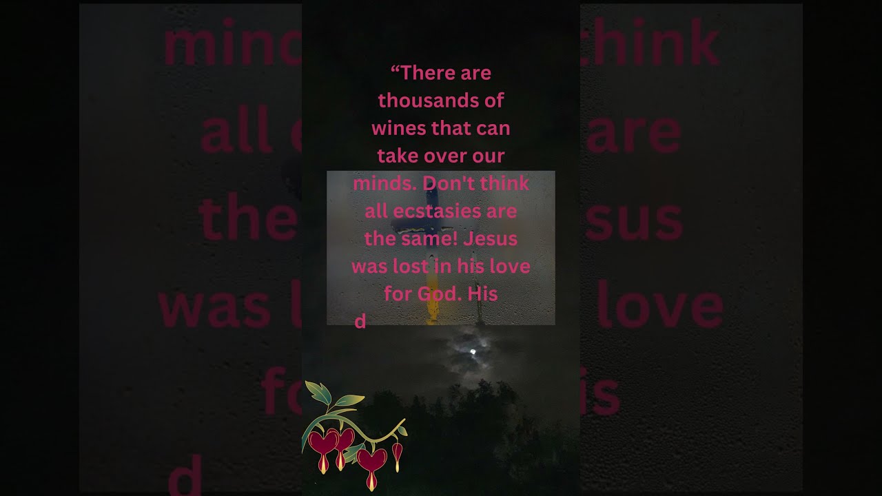  The Two Types Of Ecstasy Rumi S Vision Divine Vs Earthly Intoxication Love Motivation