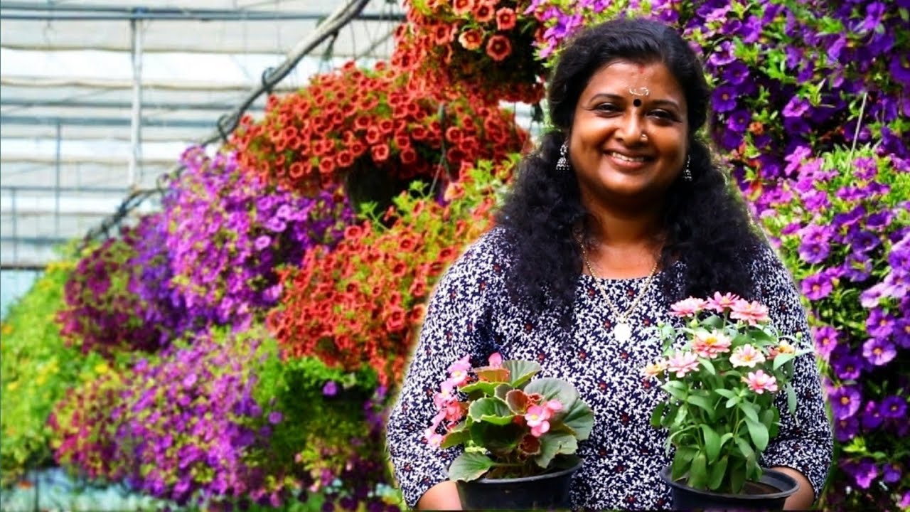 പൂചെടികളും ഇല ചെടികളും ഫലവൃക്ഷ തൈക്കളും നിറഞ്ഞ പൂവനം നേഴ്സറി||Poovan Nursery full of flowering plant