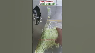 Máy chuyên bào sợi bắp sú trắng, bắp sú tím ( bắp cải, cải bắp) để làm salad bán chạy nhất hiện nay