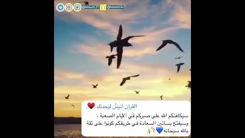 تلاوه تفوق الوصف❣واصبر على ما يقولون❣