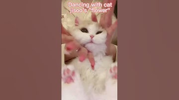 Thumbnail of flower🌺！Dancing with the cat jisoo's "flower" dance #flower #blackpink #dance