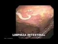 Limpieza intestinal ( colon)