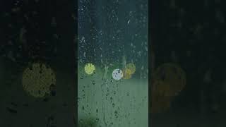 Rain Sounds Window View: Soft Rain on Glass for Sleeping & Studying l Insomnia Relief