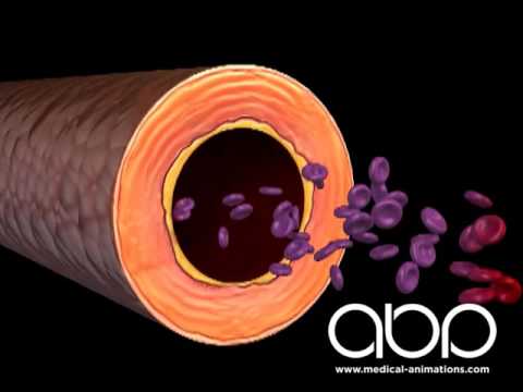 Blood cells in the arteries - YouTube