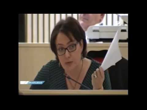 ფაქტ-მეტრ TV: ირაკლი ღარიბაშვილი ლარად გადაცემულ ქონებაზე