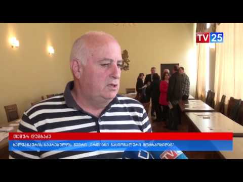 ხელვაჩაურის საკრებულოს სხდომა