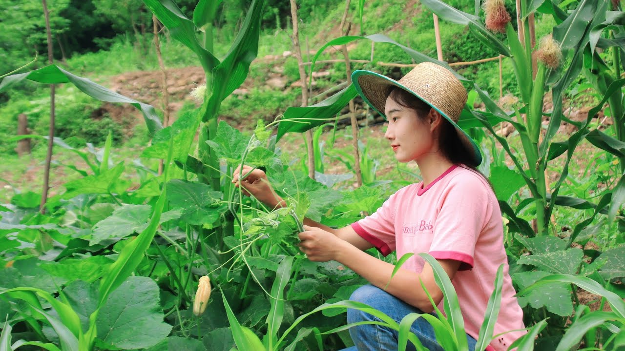 Satisfying to Watch! Cooking Organic Pumpkin Leaves and Flowers｜Couple