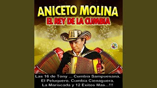 Video thumbnail of "Aniceto Molina - La Mariscada"