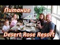 Питание в отеле Desert Rose Resort | Хургада | Египет