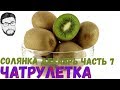 ЧАТРУЛЕТКА С ЛУГАНСКИМ. СБОРНИК декабрь 2018 часть 7