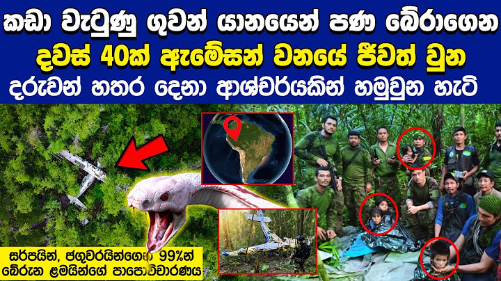 කඩා වැටුණු යානයෙන් පණ බේරාගෙන දවස් 40ක් ඇමේසන් වනයේ ජීවත් වුන දරුවන් හතර දෙනා බේරාගත් හැටි | Naifm