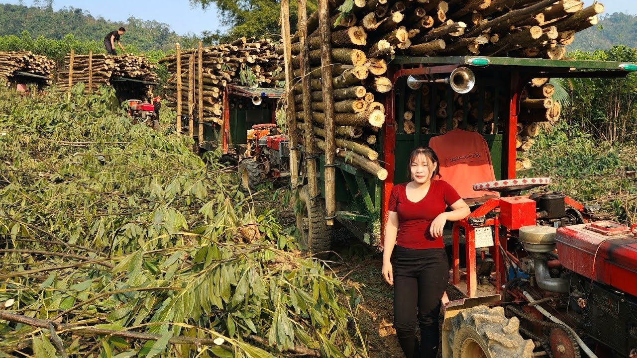 Agricultural vehicles transporting timber play a very important role in daily life.