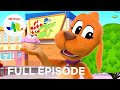 Pupcakes   stink or swim  go dog go full episode  netflix jr