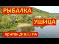 Рыбалка на Ушице / Приток Днестра / Бакота