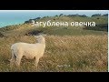 Загублена овечка