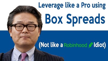 How to Leverage your Portfolio like a Pro using Box Spreads (not like a Robinhood Idiot)