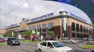 Шоу с акулами (Санкт-Петербургский Океанариум) Шоу с акулами (Санкт-Петербургский Океанариум)