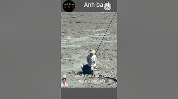 Cách nhấp cá thòi lòi và nóc nối trên bãi biển