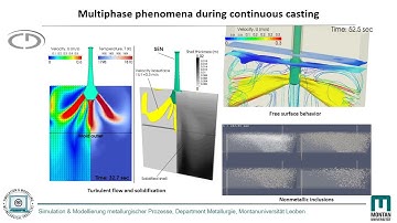 Multi-phase phenomena during continuous casting process.