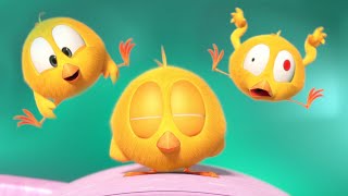 Onde está Chicky? 2023 | O TRAMPOLIM | Desenhos Animados Infantil | Novos episódios