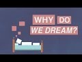 WHY DO WE DREAM?