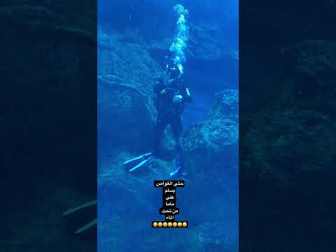 حتى من تحت الماء يسلموا على ماما شو هاذا فهموني      