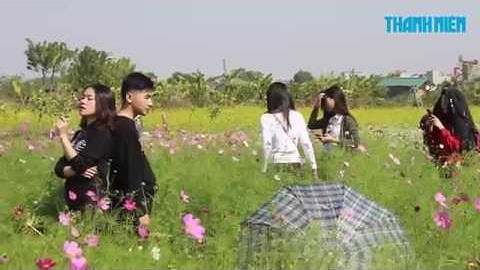 Chuyện khó tin của hot girl trong vườn hoa cải ở Hà Nội